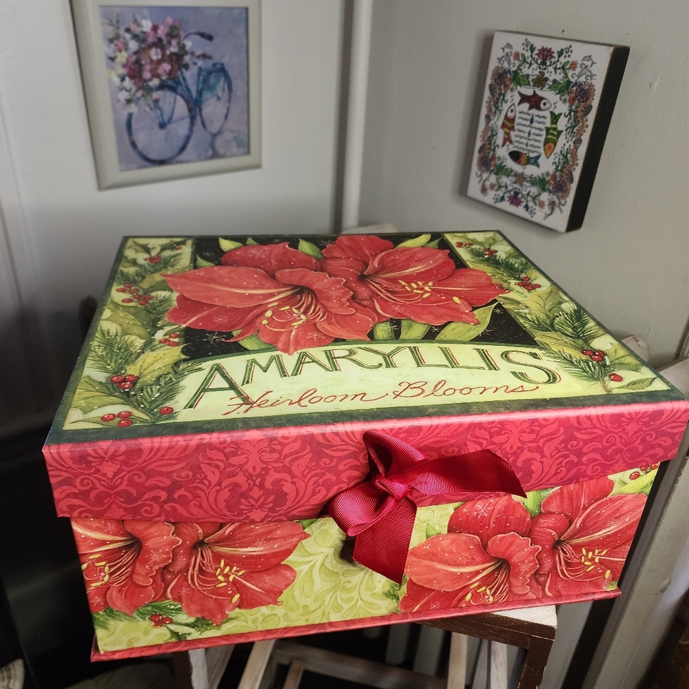Amaryllis Heirloom Blooms EUC Gift Storage Box